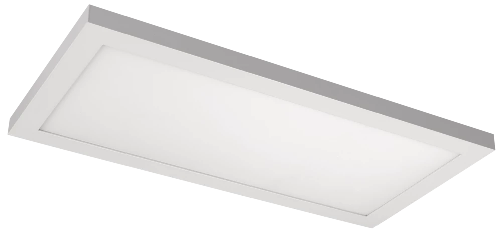 Globe LED Panel, 1-ft X 2-ft 1 Globe LED Panel, 1-ft X 2-ft