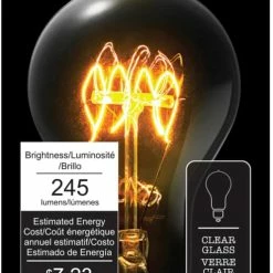 Globe Electric A19 E26 Base Vintage Dimmable Incandescent Filament Light Bulb, 60W