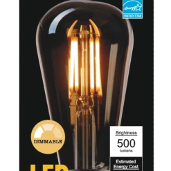 Globe Electric ST19 Vintage Household Dimmable LED Light Bulb, 500 Lumens, 60W