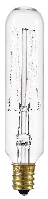 Globe 4-Pack T6 40W Incandescent Bulbs -Globe Sales Shop globe t6 40w led 4 pack bulbs 84104e46 7995 4c21 b7bc 640893cca84c