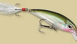 Rapala X-Rap Slashbait Lure
