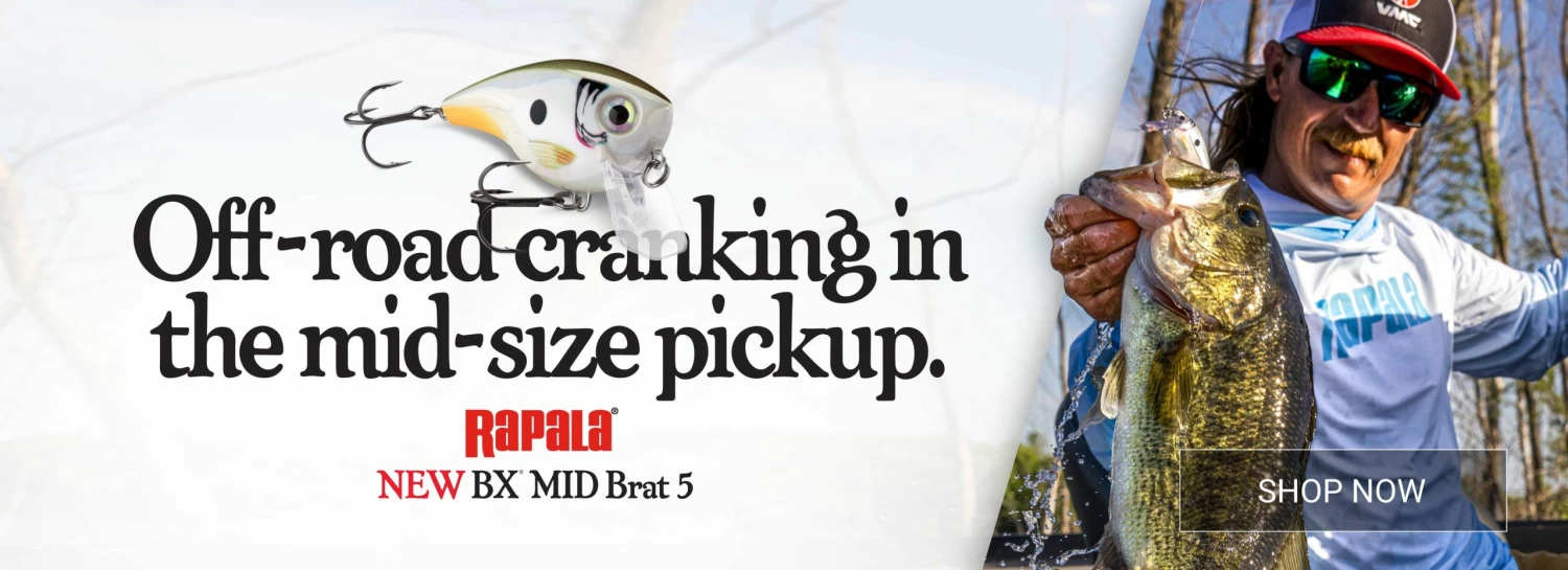 Globe Sales Shop -Globe Sales Shop rp bx brat digital banners 1920x697 scaled